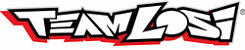 TEAM LOSI